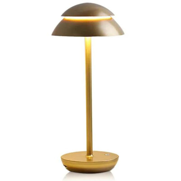 مصابيح LED العصرية للمطعم والمنزل (A025)