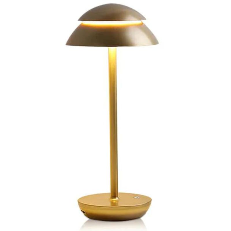 مصابيح LED العصرية للمطعم والمنزل (A025)
